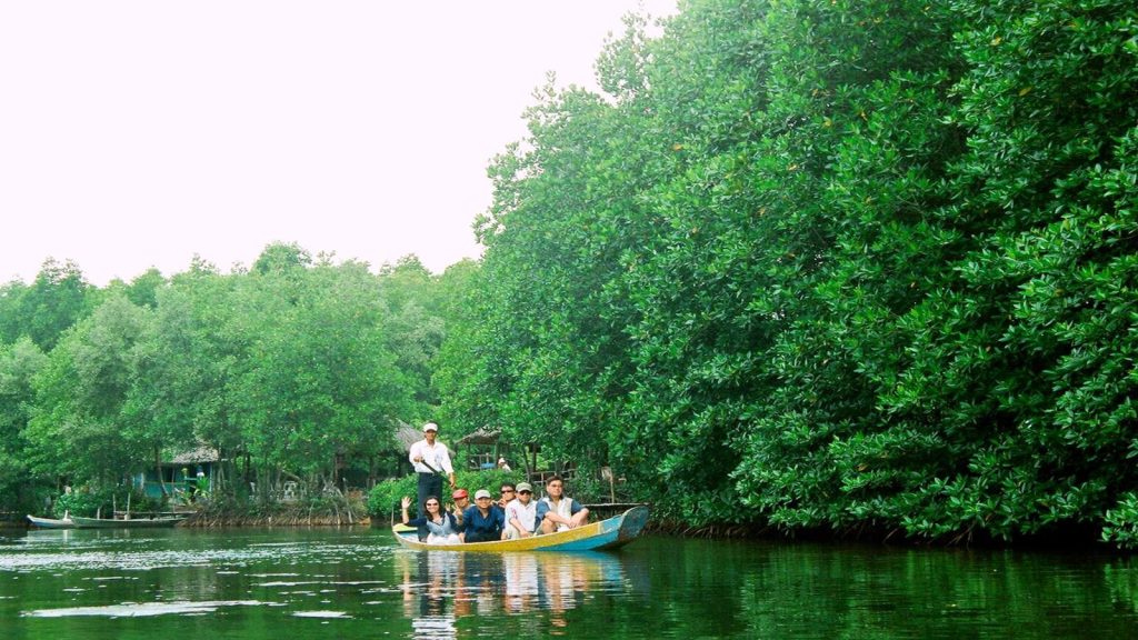 Can Gio mangrove forest in Vietnam