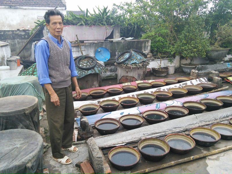 Nam O Fish Sauce Village Da Nang – traditional fish sauce making