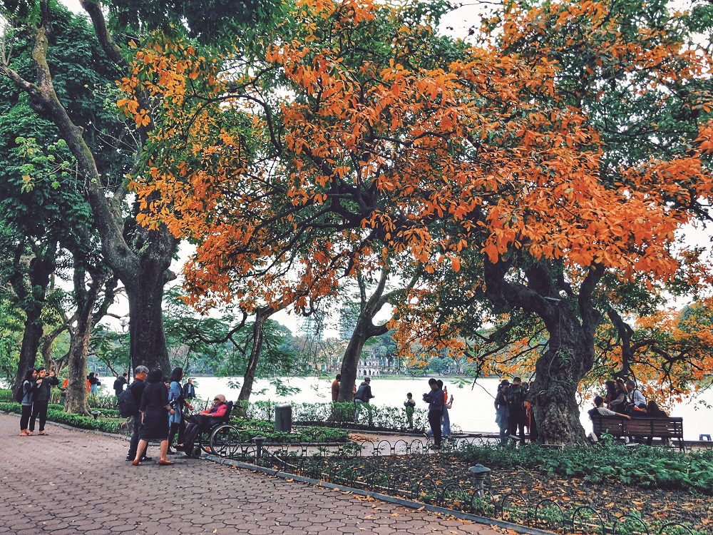 Hanoi Old Quarter in autumn with golden leaves